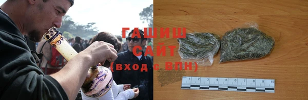 сатива Верея