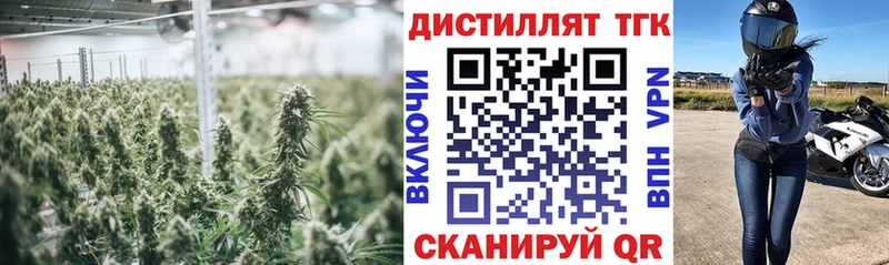 Дистиллят ТГК гашишное масло  продажа наркотиков  Верхний Тагил 